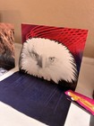 America 4th of July Independence Day Blank Pop-Up Card with Winning Envelope — photo 2