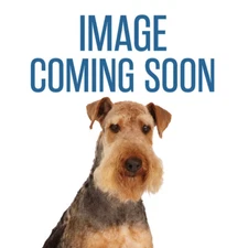 Master Grooming Tools Thumb & Finger Insert Sets Gray