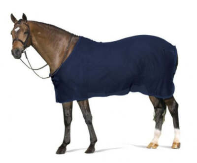 Centaur Show Scrim