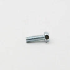 InSinkErator 3130 Screw  5/16-18X1 Hex
