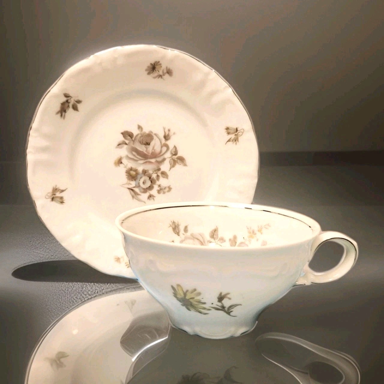 Winterling Schwarzenbach Tea Cup & Saucer Bone China Bavaria, Germany 1955 Mint