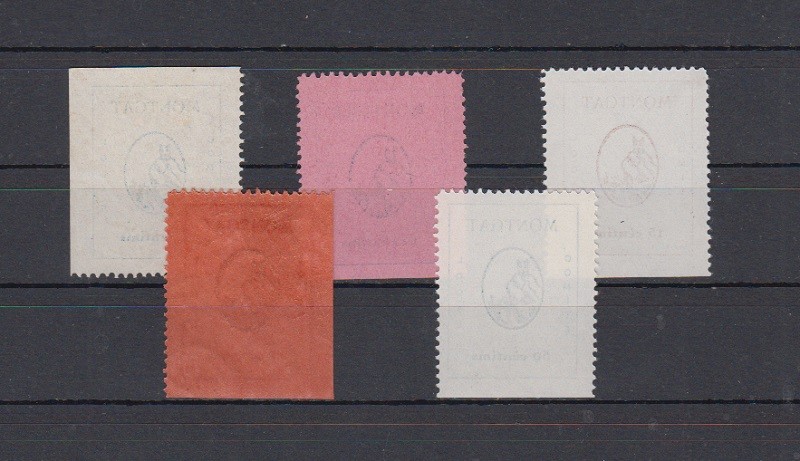 Foto 2 di 2