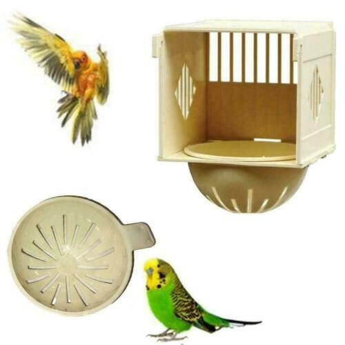 Bird-Box Super-Diät Für Wellensittiche – Gesunde Saatenmischung, 1 Kg