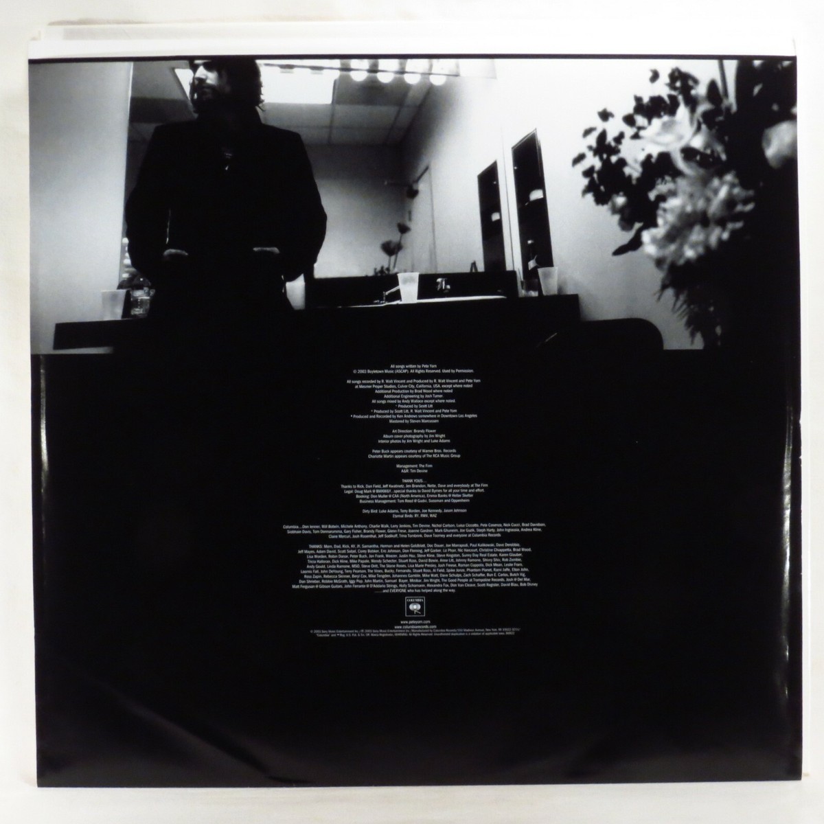 PETE YORN – Day I Forgot 2003 1st US Issue LP SIS w/ hype NM 