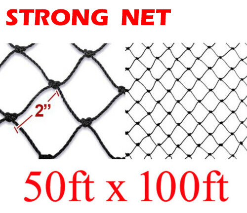 Strong 50ft X 100ft Bird Netting Net For Bird Poultry Avaiary Game Pens 2"- Hole
