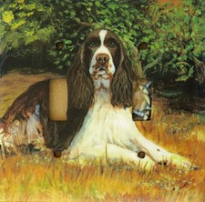 English Springer Spaniel Double Toggle Light Switch Wall Plate, handmade in USA