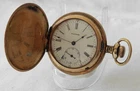 1898 Waltham 10yrs GF Blue Bird Hunt Case Pocket Watch 6s 15j Gr: Seaside Rus
