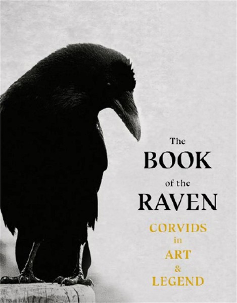 The Book Of The Raven | Corvids In Art And Legend | Hyland Angus (U. A.) | Buch-image
