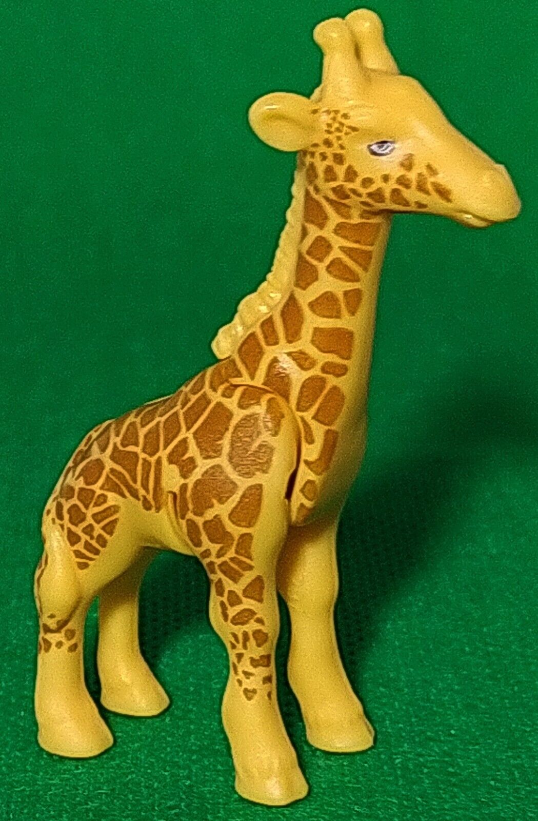 Picture 36 of 58