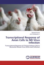 Transcriptional Response of Avian Cells to ND Virus Infection Kumar (u. a.) Buch