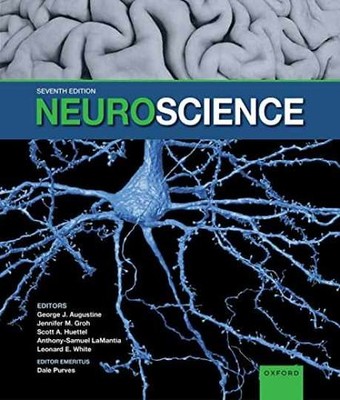 Neuroscience - Hardcover, by Augustine George J.; Groh Jennifer M.; - Very Good