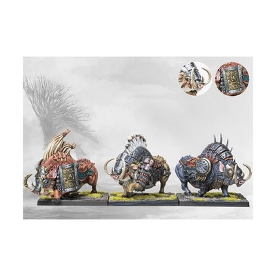 Para Bellum Conquest - Nords - 38mm Goltr Beastpack SW (New)