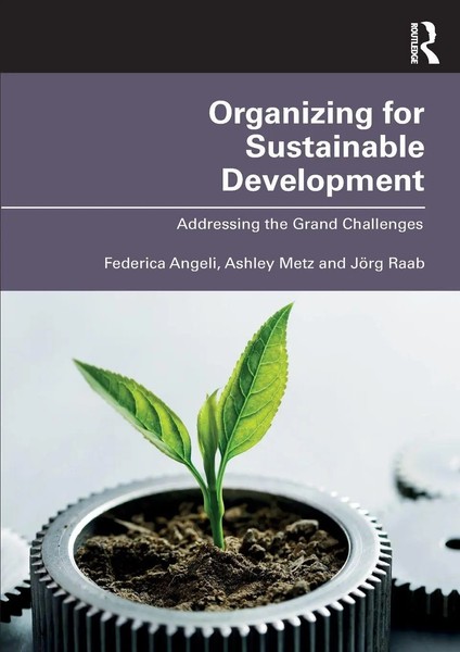 Organizing For Sustainable Development Addressing The Grand Challenges Buch 2022-image