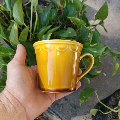 Golden Harvest by Homer Laughlin 6 oz. 3" Flat Coffee Cup Dinnerware Vintage MCM