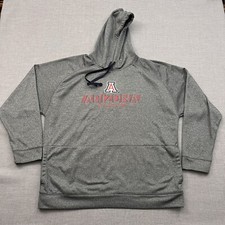Arizona Wildcats Sweatshirt Mens XL Gray Pullover Hoodie Champion Elite