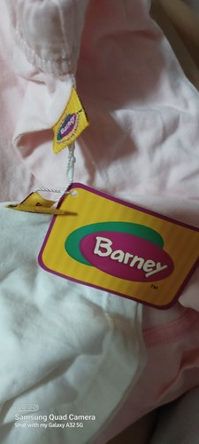 NEW Barney Girls Clothing Pink Short Sleeve Tee Shirt bell bottom pants Size 3T - Picture 3 of 6