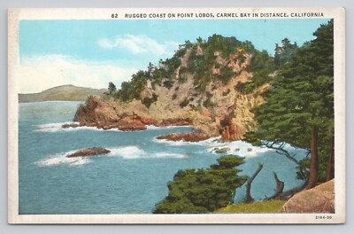 Rugged Coast Point Lobos California Postcard