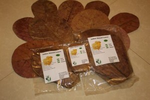 catappa indian almond leaves