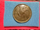 Rare Non-Dug Civil War Eagle Medium Size Breast Plate Rare style