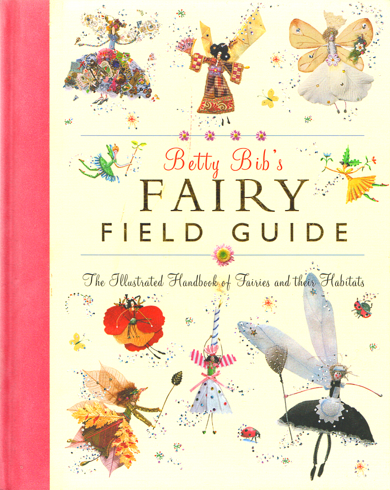 Betty Bib's Fairy Field Guide - Childrens Fairy ID Hardback Book, V.Good