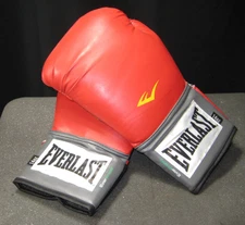 Everlast EverFresh Boxing Gloves 14oz – Training Sparring Gloves Pre-owned 