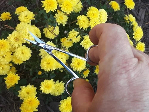 Gingher Model G-446 Chrome plated Embroidery Scissors 3.5 inch (FREE SHIPPING) - Image 3 of 3