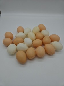 Pre-owned Lot Of Plastic Realistic Chicken Eggs Brown And White 22 Total  2 1/4"