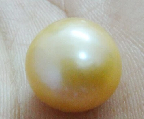 HUGE 17MM PERFECT ROUND AUSTRALIAN SOUTH SEA GENUINE GOLD LOOSE PEARL UNDRIL