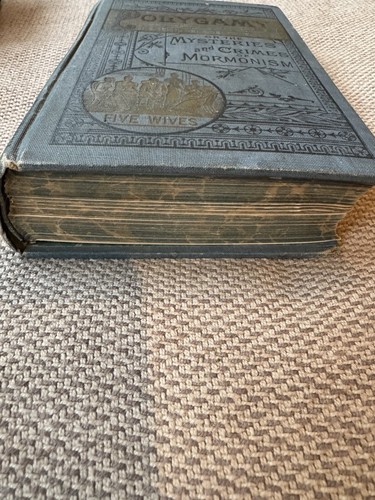 Polygamy - Or The Mysteries and Crimes of Mormonism (1882 Hardcover Book) - Picture 3 of 18