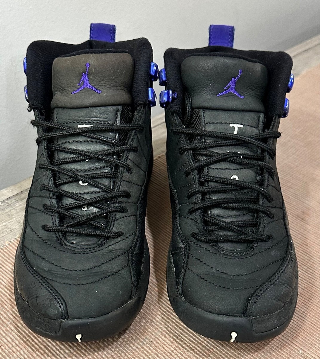 12 Dark And Purple Retro 12 Concord Nike Air Jordan 12 XII Retro