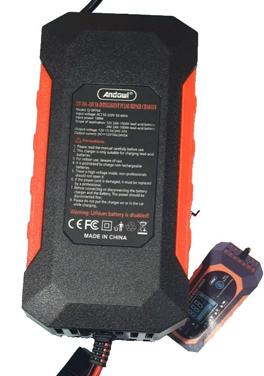 Caricabatterie Intelligente D.WORLD 12V/24V con LCD foto 5