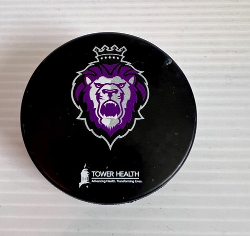 Reading Royals Marvel Comic SGA Official InGlas Co. Puck ECHL - Picture 3 of 6