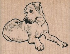 Lying Great Dane 3 1/4 x 2 1/2" Rubber Stamp, Dog Stamp, Dog Lover Stamp