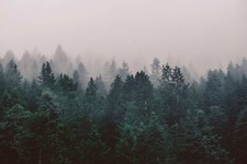 Landscape forest nature trees mist Custom Gaming Mat Desk