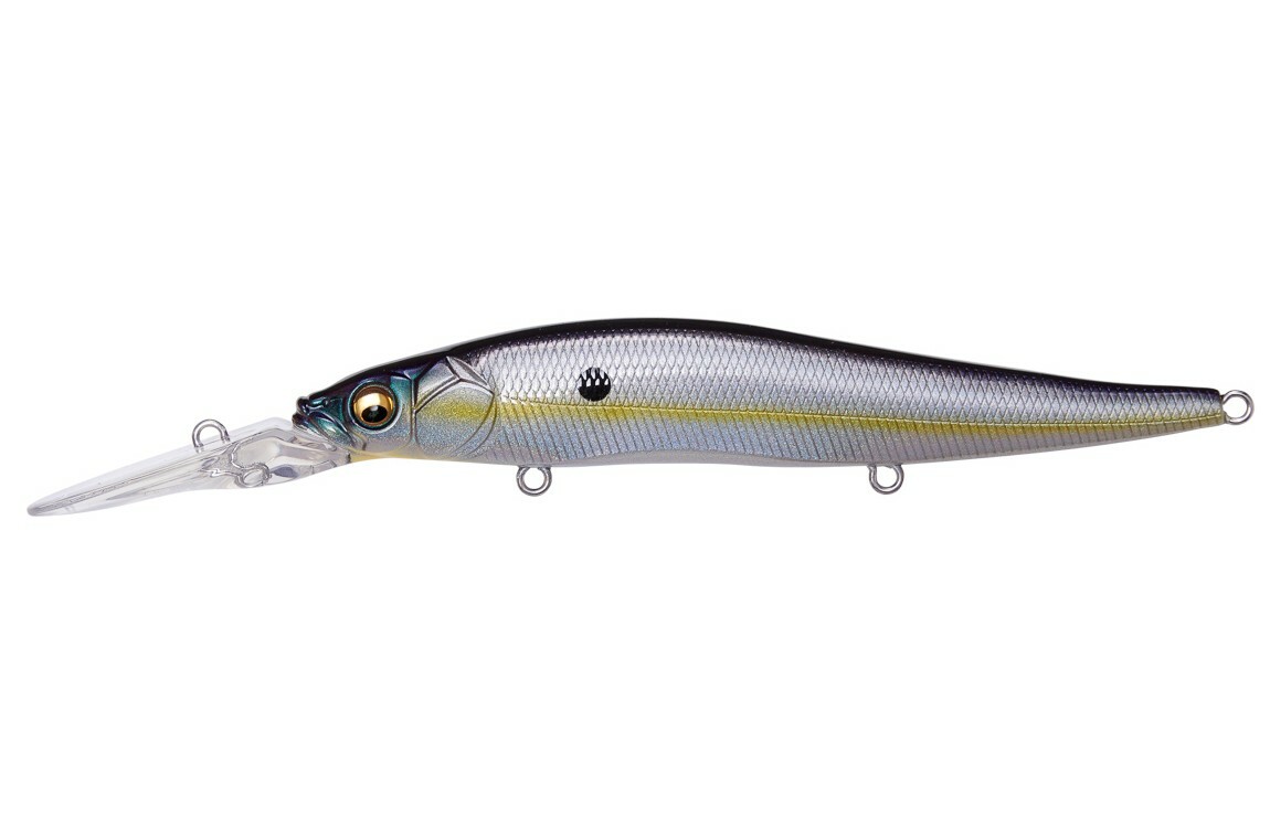 Megabass VISION ONETEN BAY ORANGE ２個セット Megabass Vision Oneten / 110 + 2 Jerkbait - Choose Color | eBay