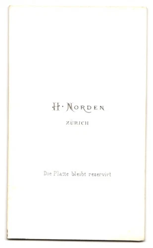Fotografie H. Norden, Zürich, Portrait junge Dame im Kleid CDV /Kabinett-Foto - Bild 2 von 2