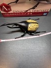 Foto 9 di 11