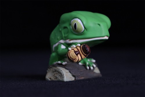Frog Planet Realista Rana Caja Ciega Modelo Colección Animal Poisondartfrog Regalo - Imagen 38 de 56