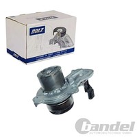 Dolz Wasserpumpe Passend FüR Audi A1 Seat Ibiza Toledo Skoda Fabia Rapid VW