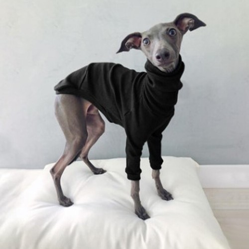 Abrigo Chaqueta Cálida Invierno Cuello Alto Mascota Perro Ropa Dos Patas Galgo Whippet - Imagen 8 de 24