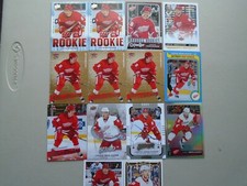 Justin Abdelkader (14) Cards  Rookies----Inserts----Rainbow ++++