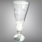 Vintage Mountaineer Etched Crystal Pilsner Glasses Set Of 4 Coin Dot Elegant