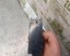 Foto 1 di 4