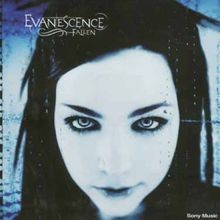 Fallen von Evanescence | CD | Zustand sehr gut