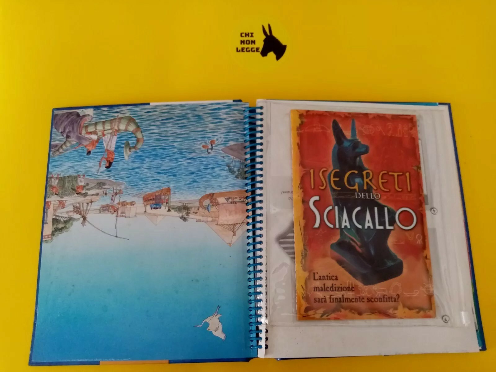Foto 3 di 4