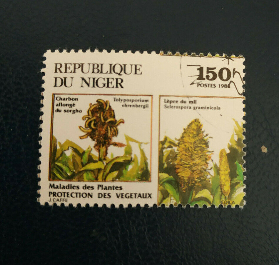 Niger -1985 vegetation protection-flora-o