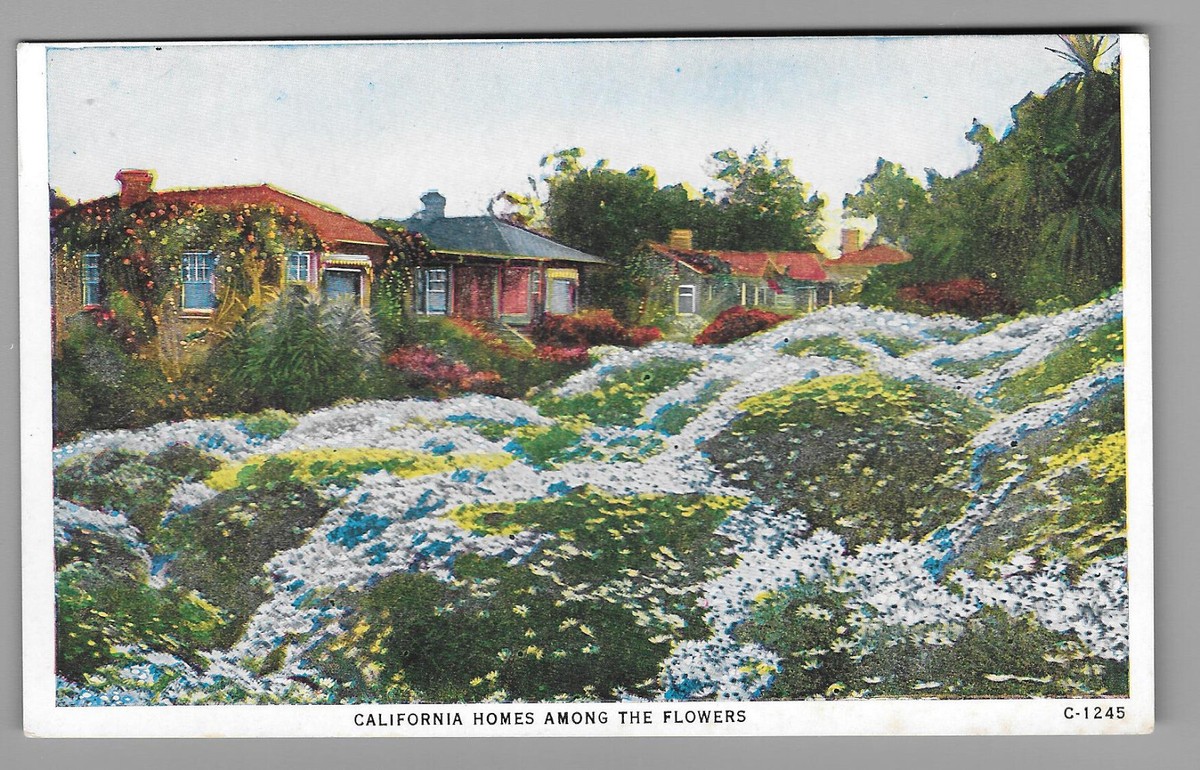 Los Angeles California Homes Among The Flowers Postcard Unused | eBay