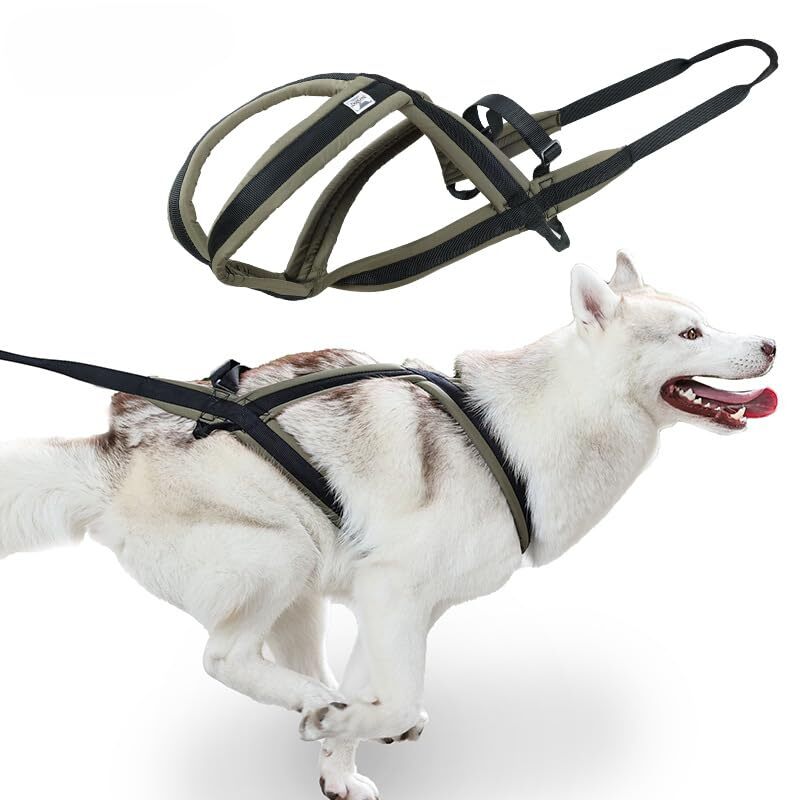 Dog Weight Pulling Sled Dog Weight Pulling Harness X Back