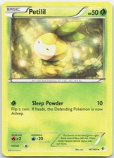 Petilil Common Boundaries Crossed 16/149 NM