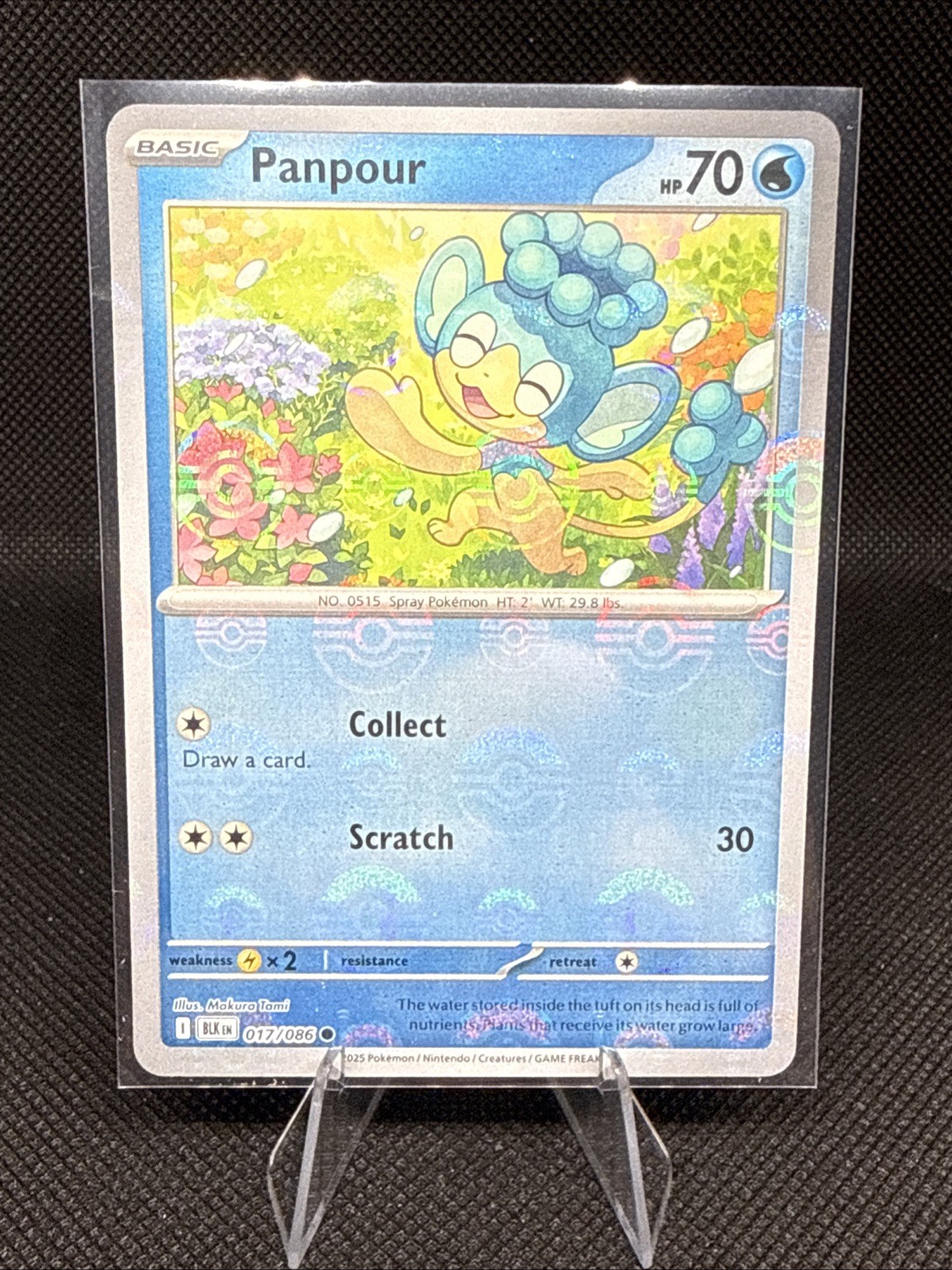 Panpour | 17 | Pokemon | Black Bolt | Poke Ball Pattern | | 50% off 2nd Card